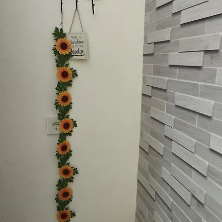 Sunshine Near The Zoo, Free Parking Апартаменты