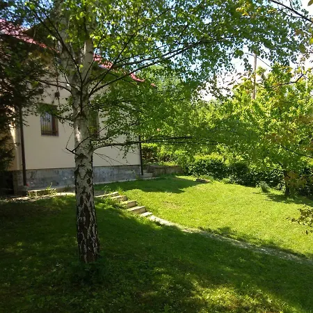 Sunshine Sarajevo